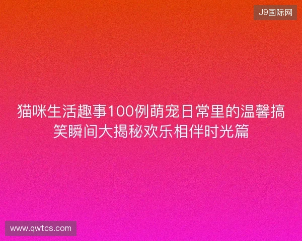 猫咪生活趣事100例萌宠日常里的温馨搞笑瞬间大揭秘欢乐相伴时光篇
